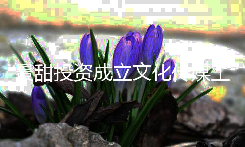 工作达9投资文化景甜比例室 成立传媒持股